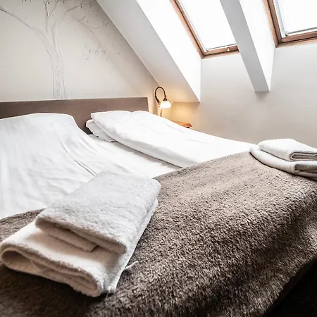 Pallas Olsztyn (Warmian-Masurian)